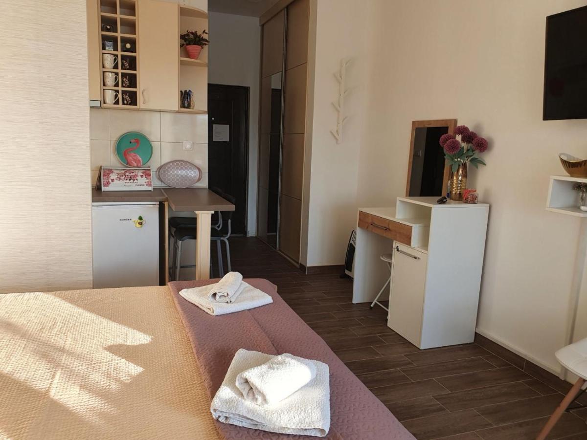 Zen Apartment Veliko Gradište Kültér fotó